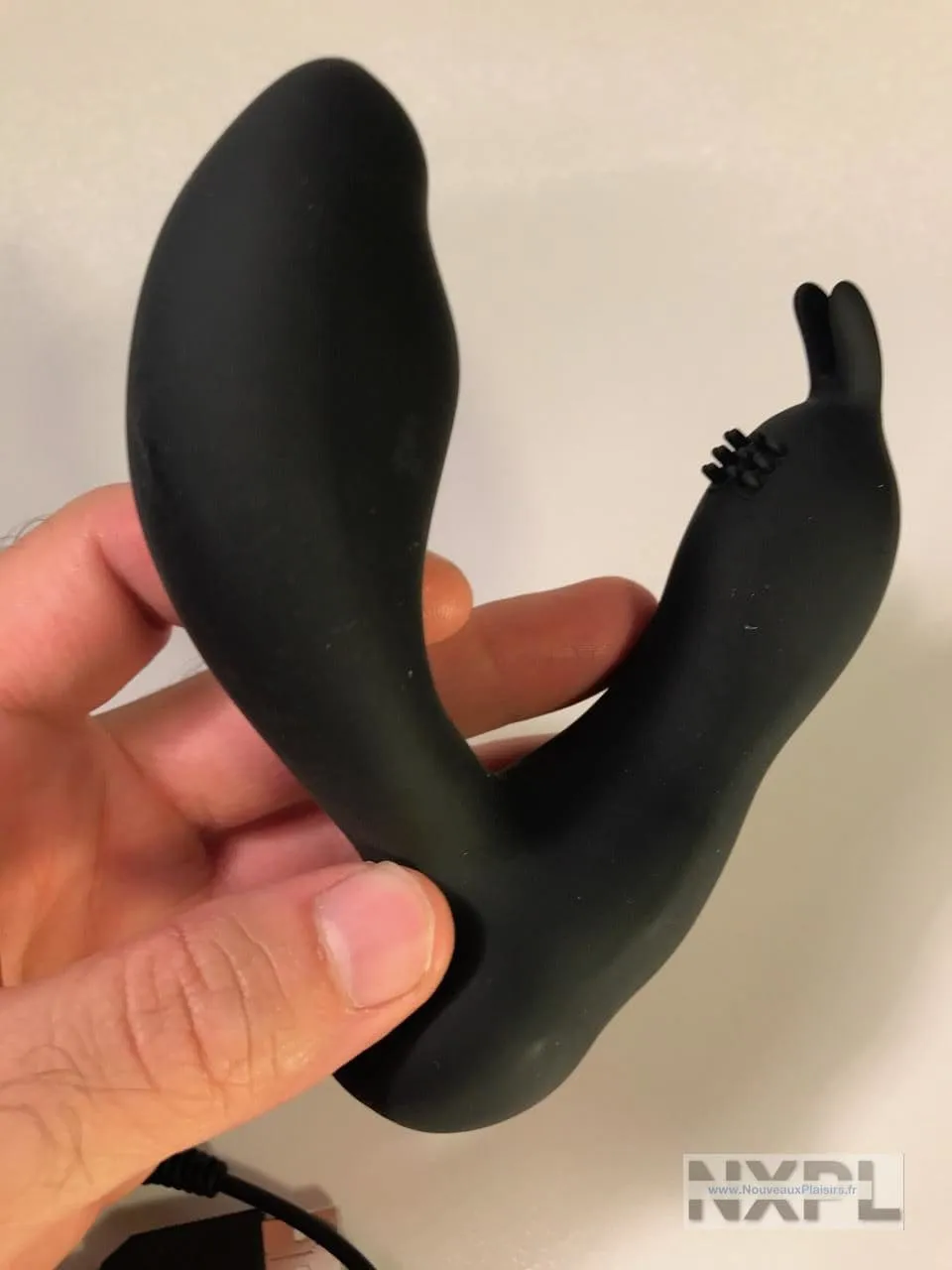 nxpl prostate rabbit 22 e1510264832739