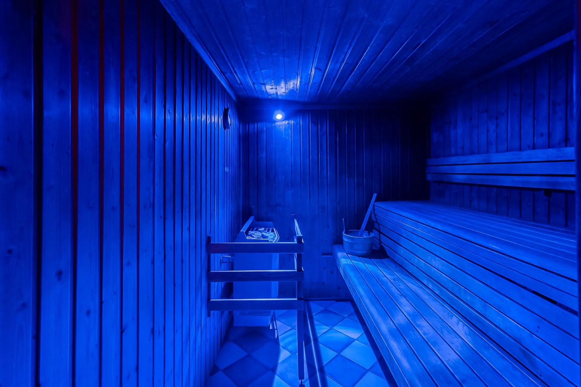 nxpl sauna cameleon sauna