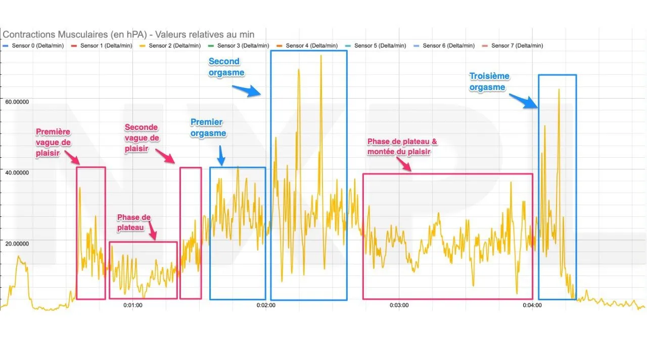 Seconde séance : trois orgasmes