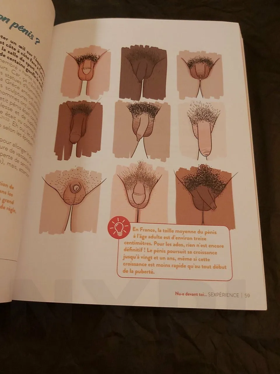 Illustration pédagogique Sexpérience