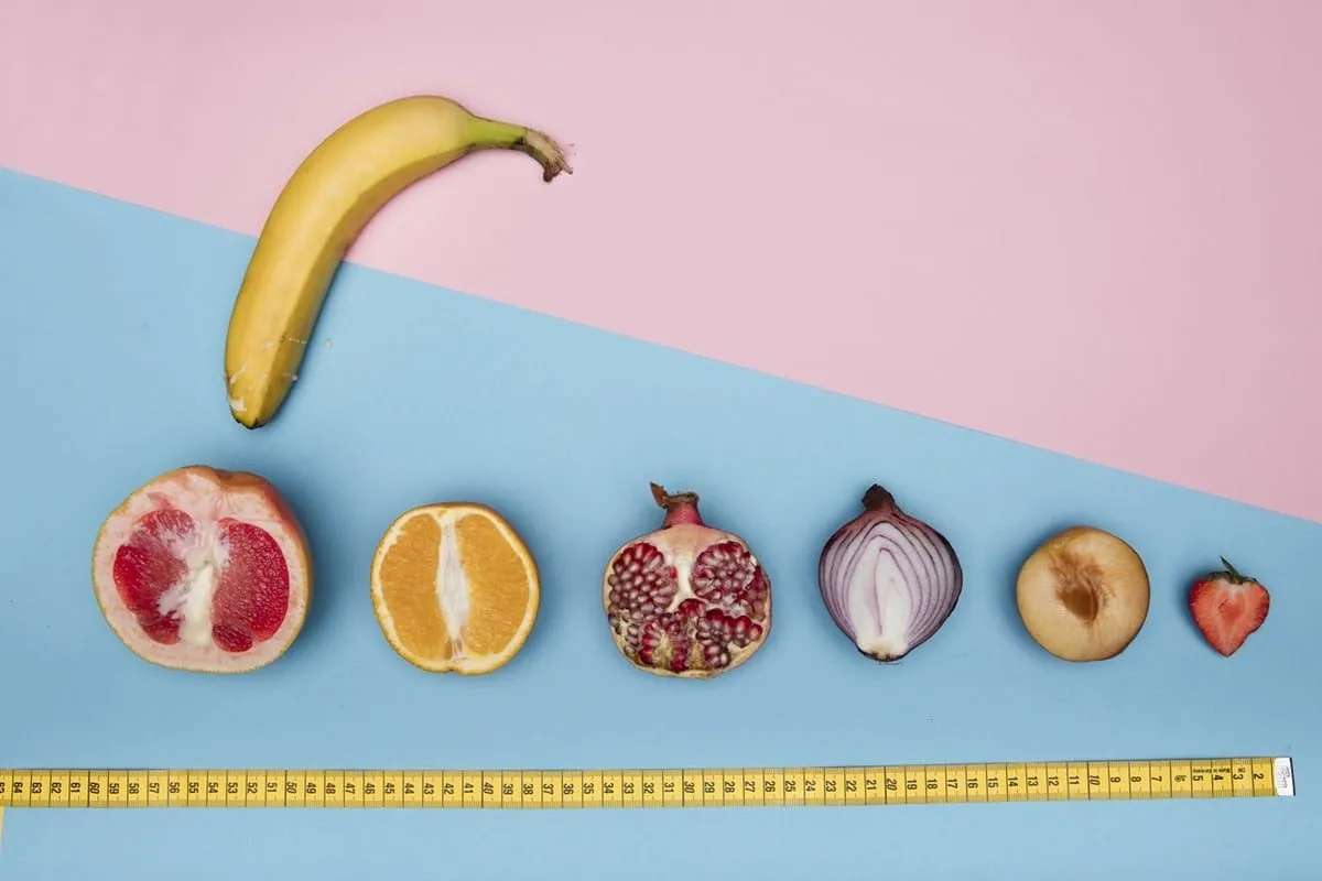 Compatibilité des tailles des vagins et pénis