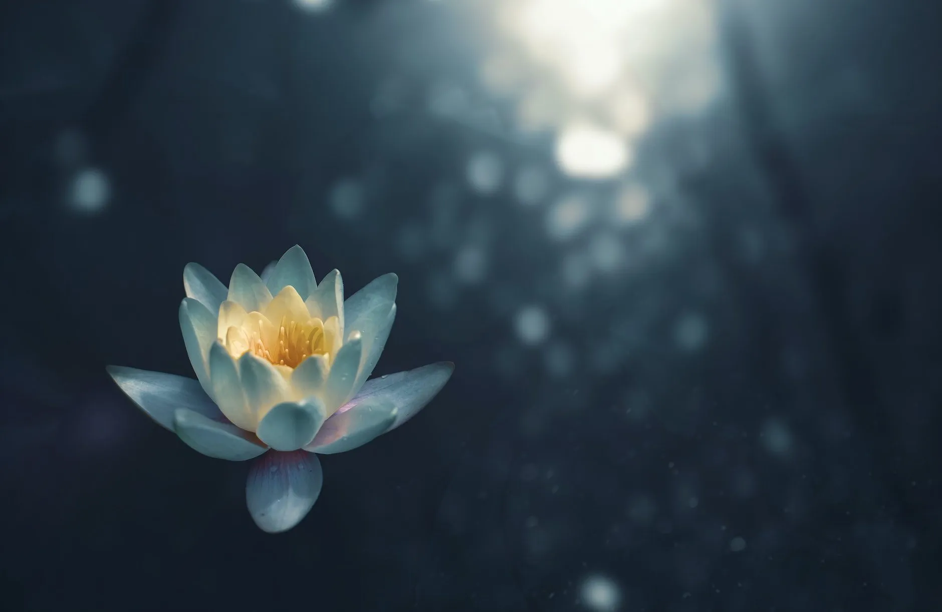 La méditation Kundalini d'Osho