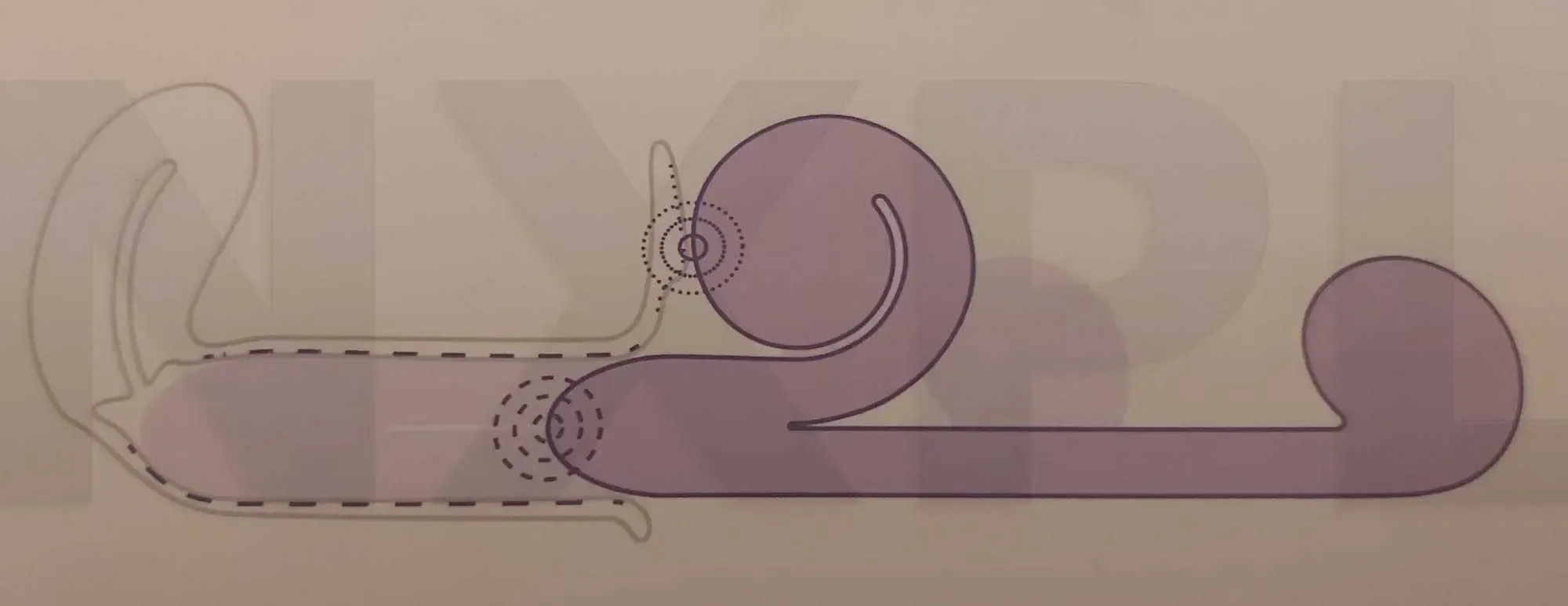 Schéma de fonctionnement du vibromasseur Snail Vibe montrant la stimulation simultanée