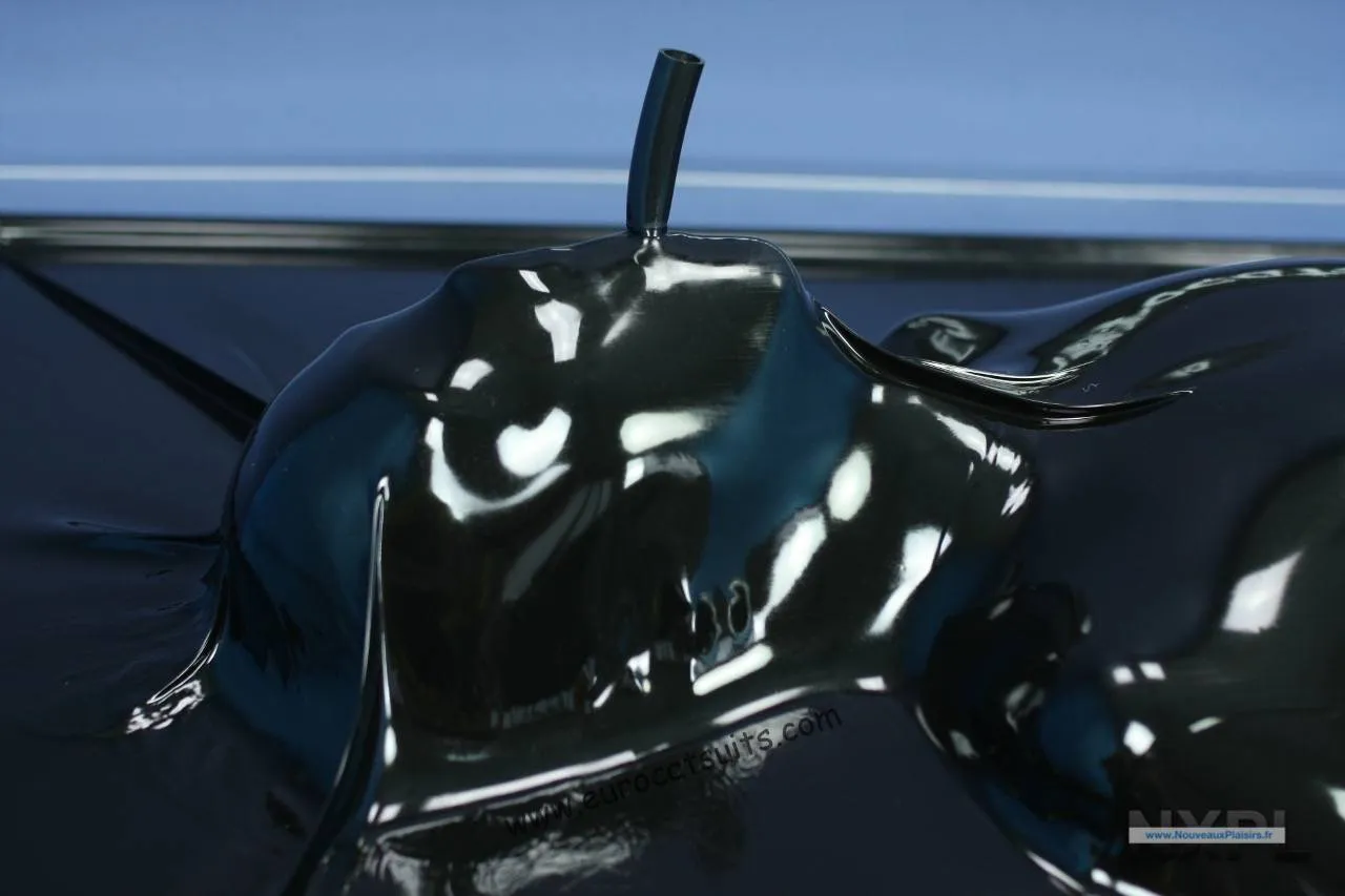 nxpl vacbed eurocatsuitscom 6