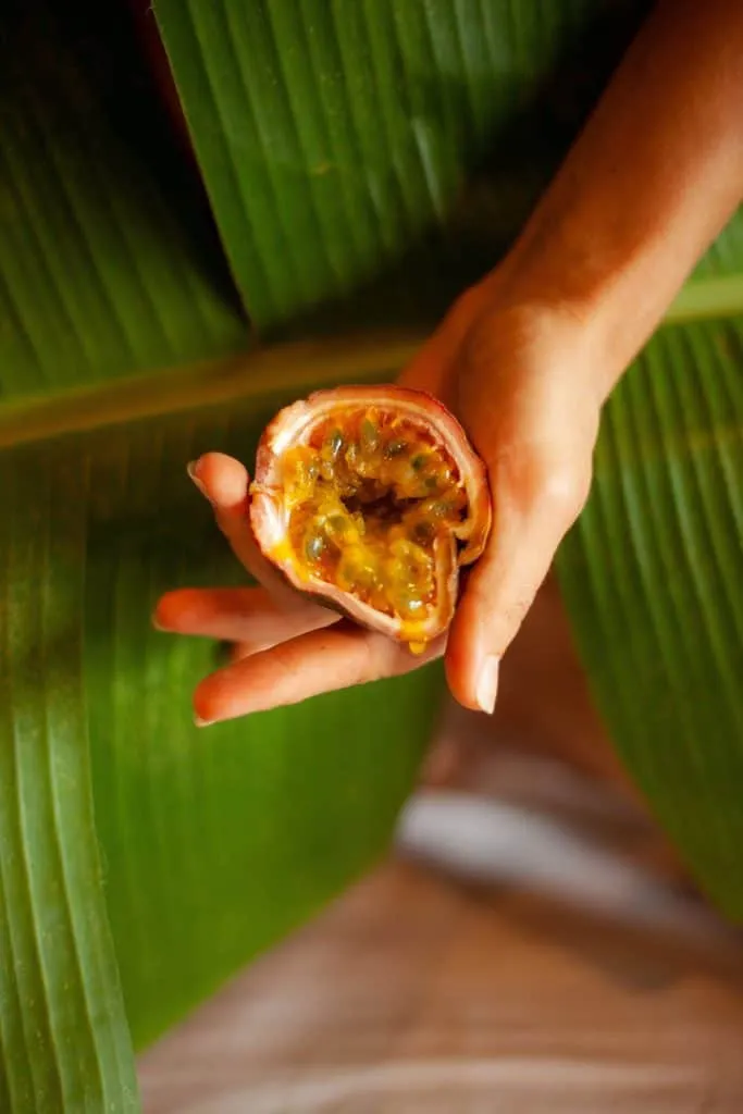 Sexe féminin, la vulve