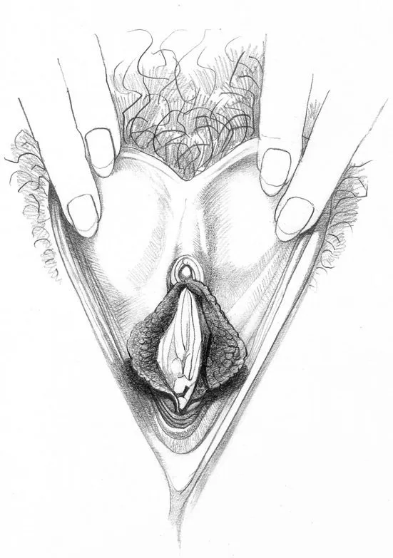 nxpl vulves betty dodson 01