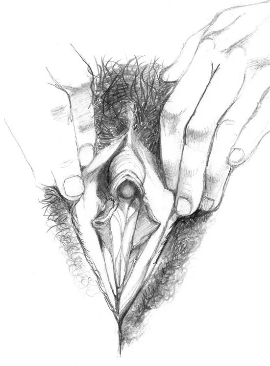 nxpl vulves betty dodson 04