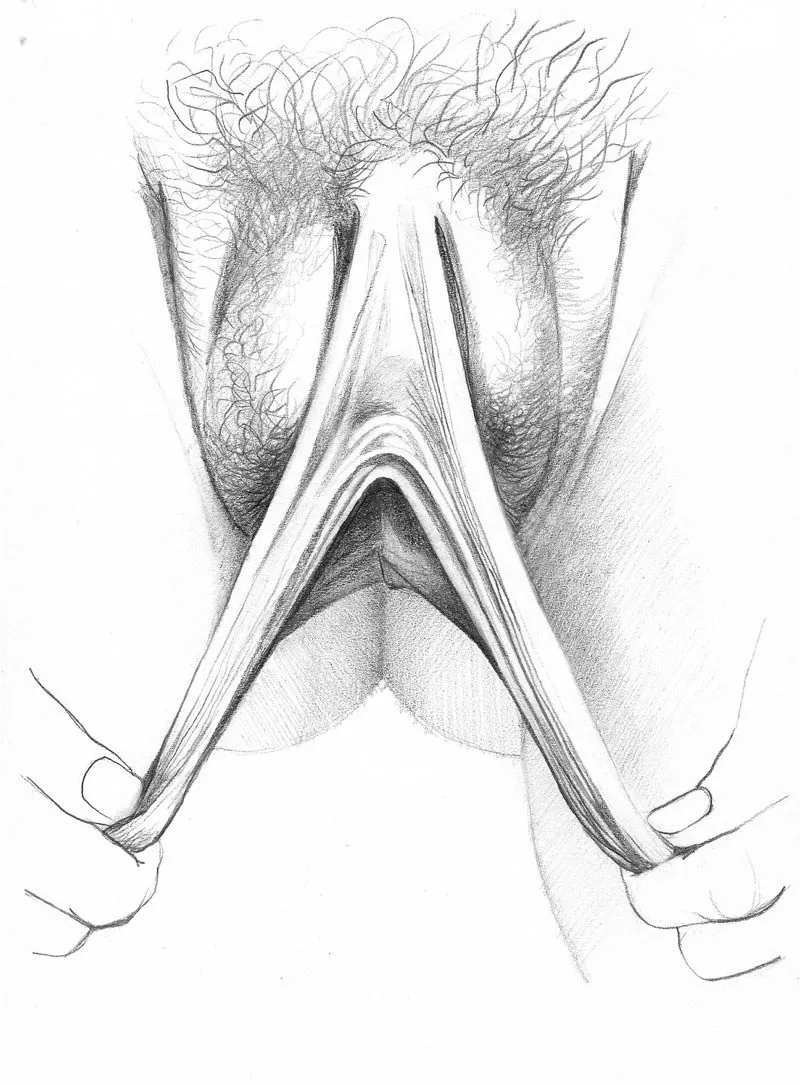 nxpl vulves betty dodson 09