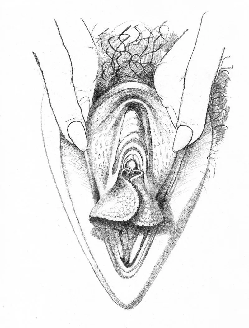 nxpl vulves betty dodson 12