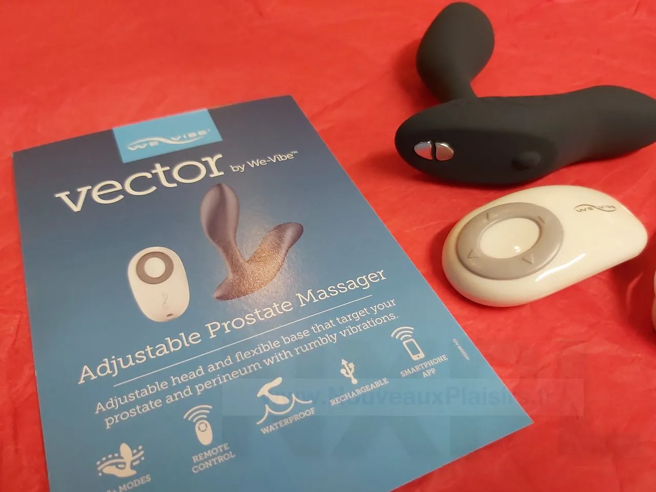 nxpl we vibe vector 02