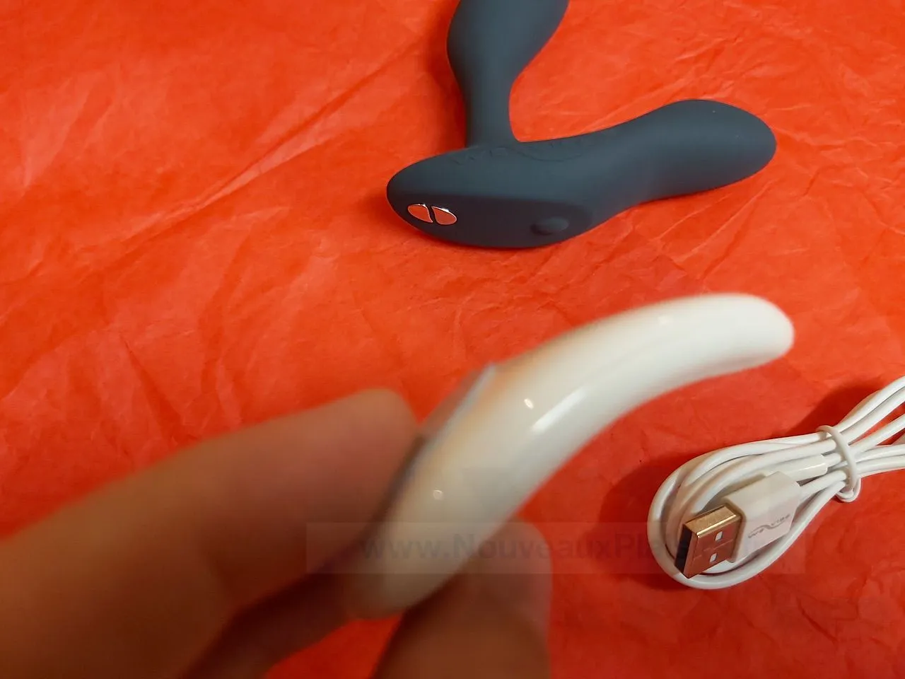 nxpl we vibe vector 05