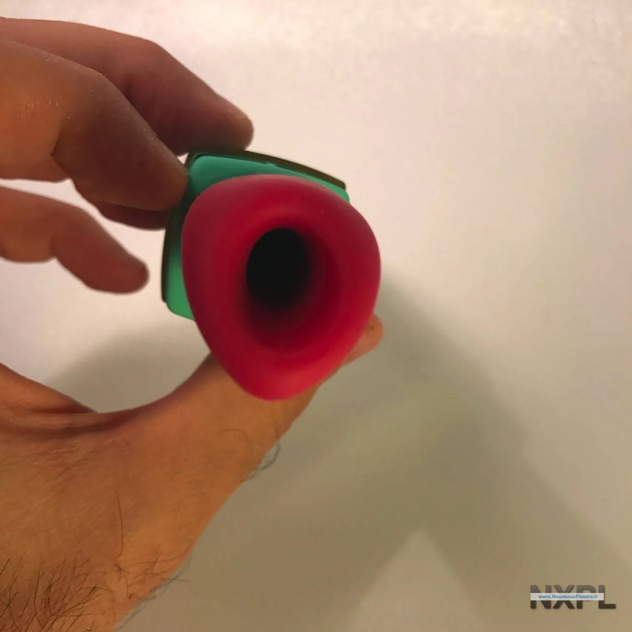 nxpl womanizer 2go 11 e1498919799786