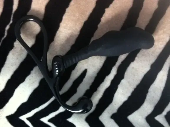 Détails des nervures et stries du Zini Janus Intermédiaire