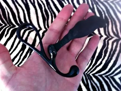 Détails des nervures et stries du Zini Janus Intermédiaire