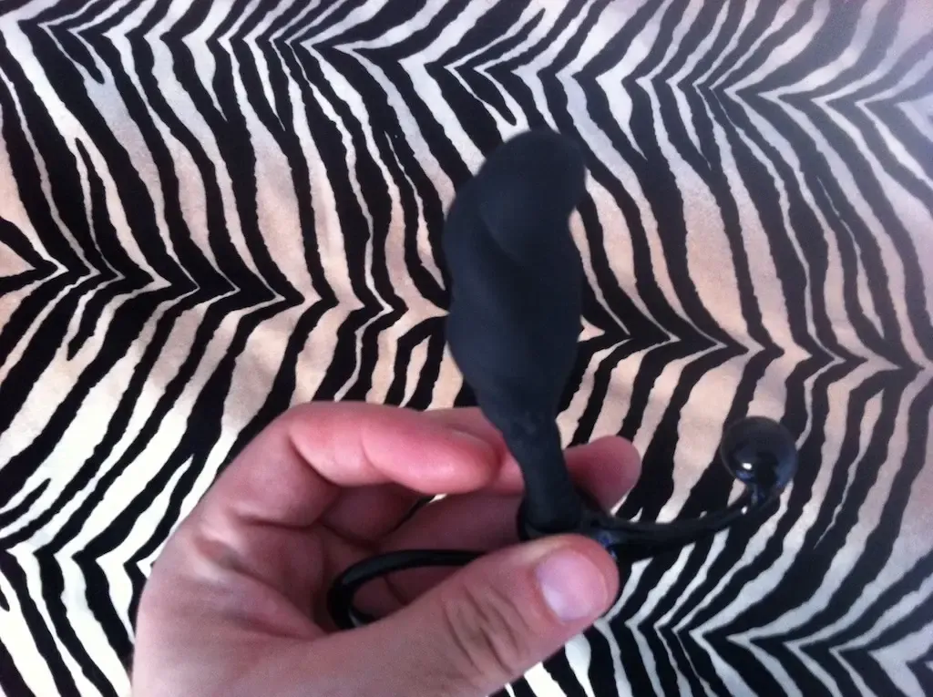 Détails des nervures et stries du Zini Janus Intermédiaire