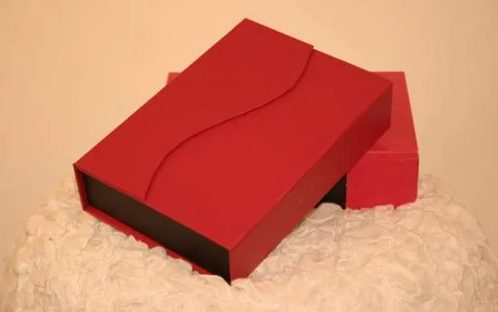 Boîte de rangement magnétique pour l'Aneros Helix Syn