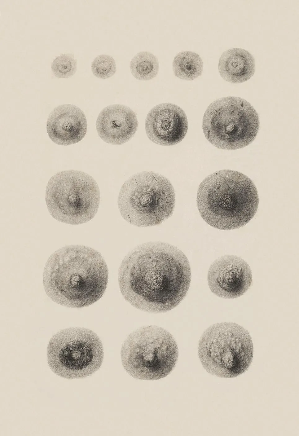 Les tétons sont-ils tous pareils ?