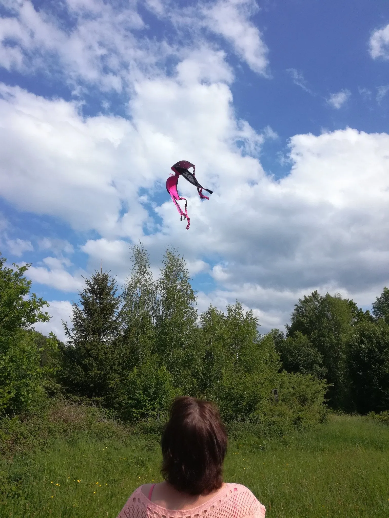 vanyfraiz pinkbratoss 2018 1