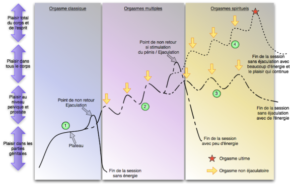 Niveau de l'intensité orgasmique